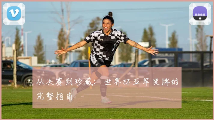 从决赛到珍藏：世界杯亚军奖牌的完整指南