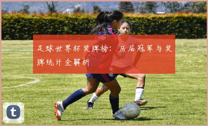 足球世界杯奖牌榜：历届冠军与奖牌统计全解析