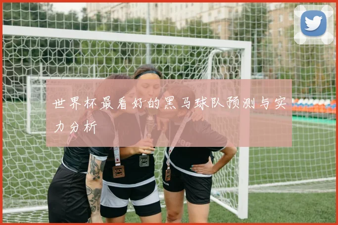 世界杯最看好的黑马球队预测与实力分析