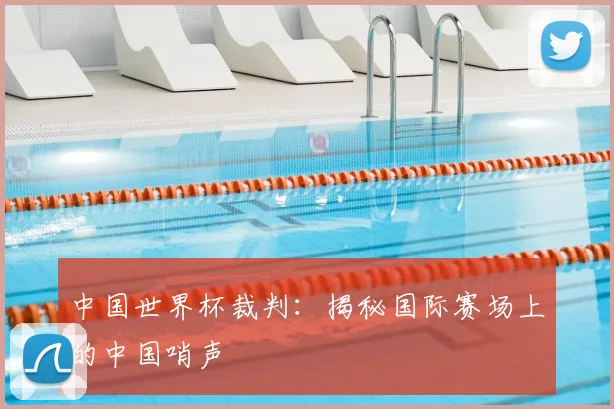 中国世界杯裁判:揭秘国际赛场上的中国哨声