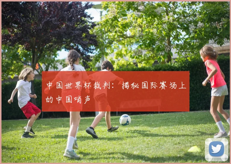 中国世界杯裁判:揭秘国际赛场上的中国哨声