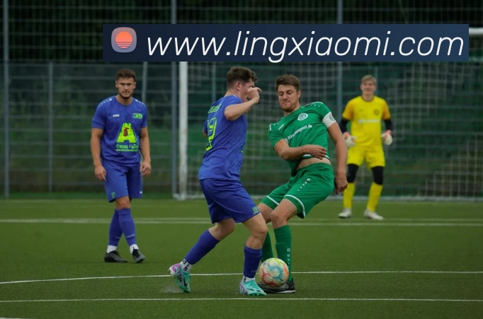 爱游戏ayx网页版登录入口APP 体育赛事宣传图